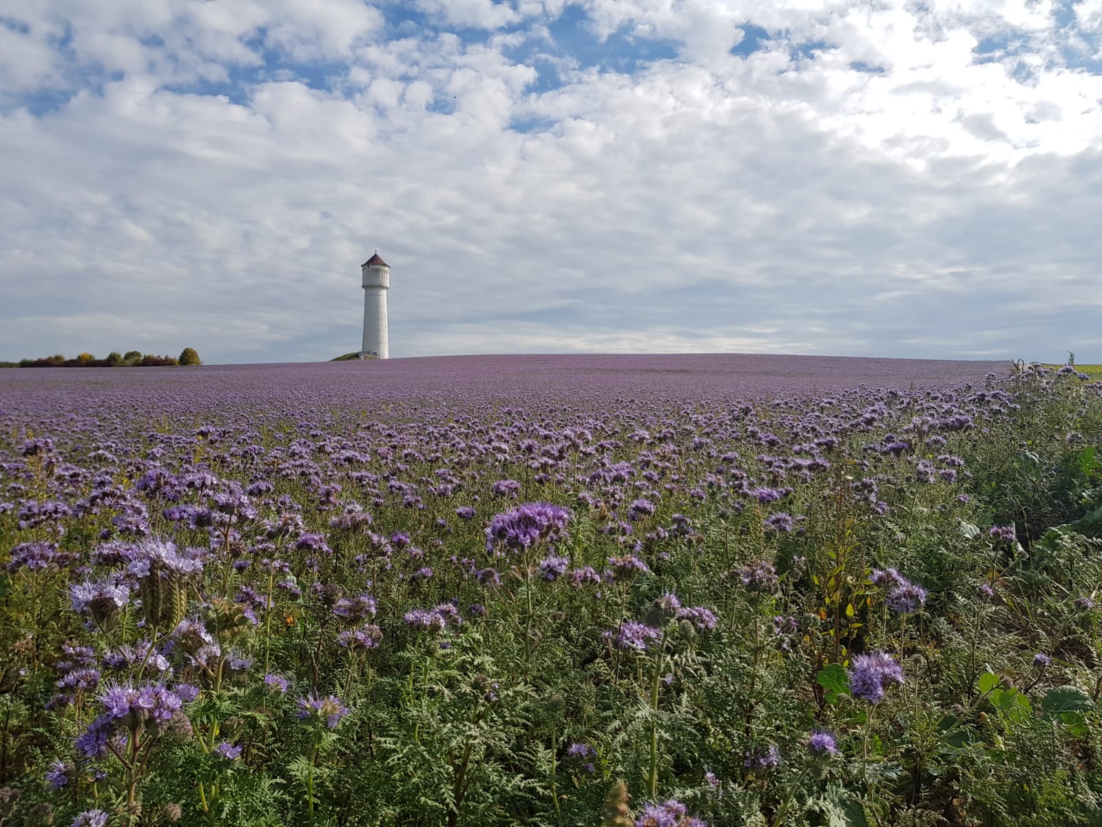 Copyright: Benjamin Jaquier