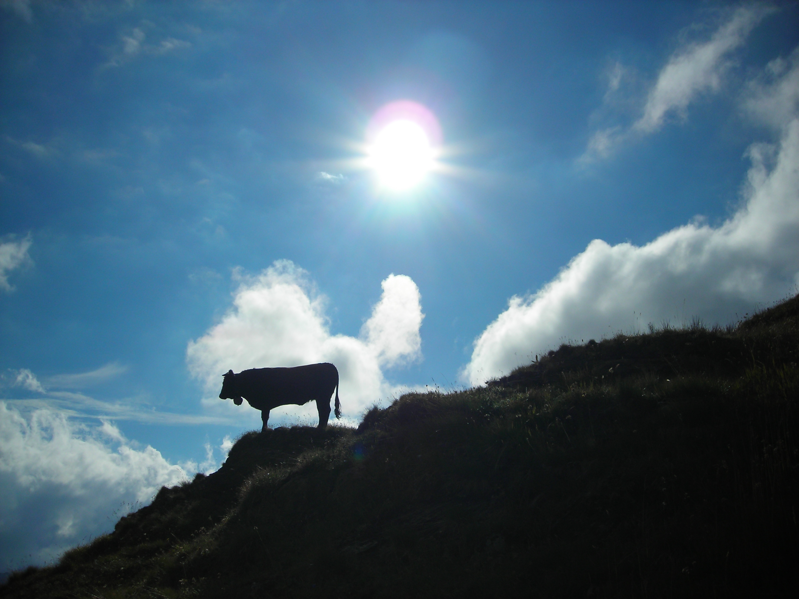 Copyright: agriculture.ch