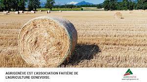 Comité valaisan "2 x NON aux initiatives phytos extrêmes"