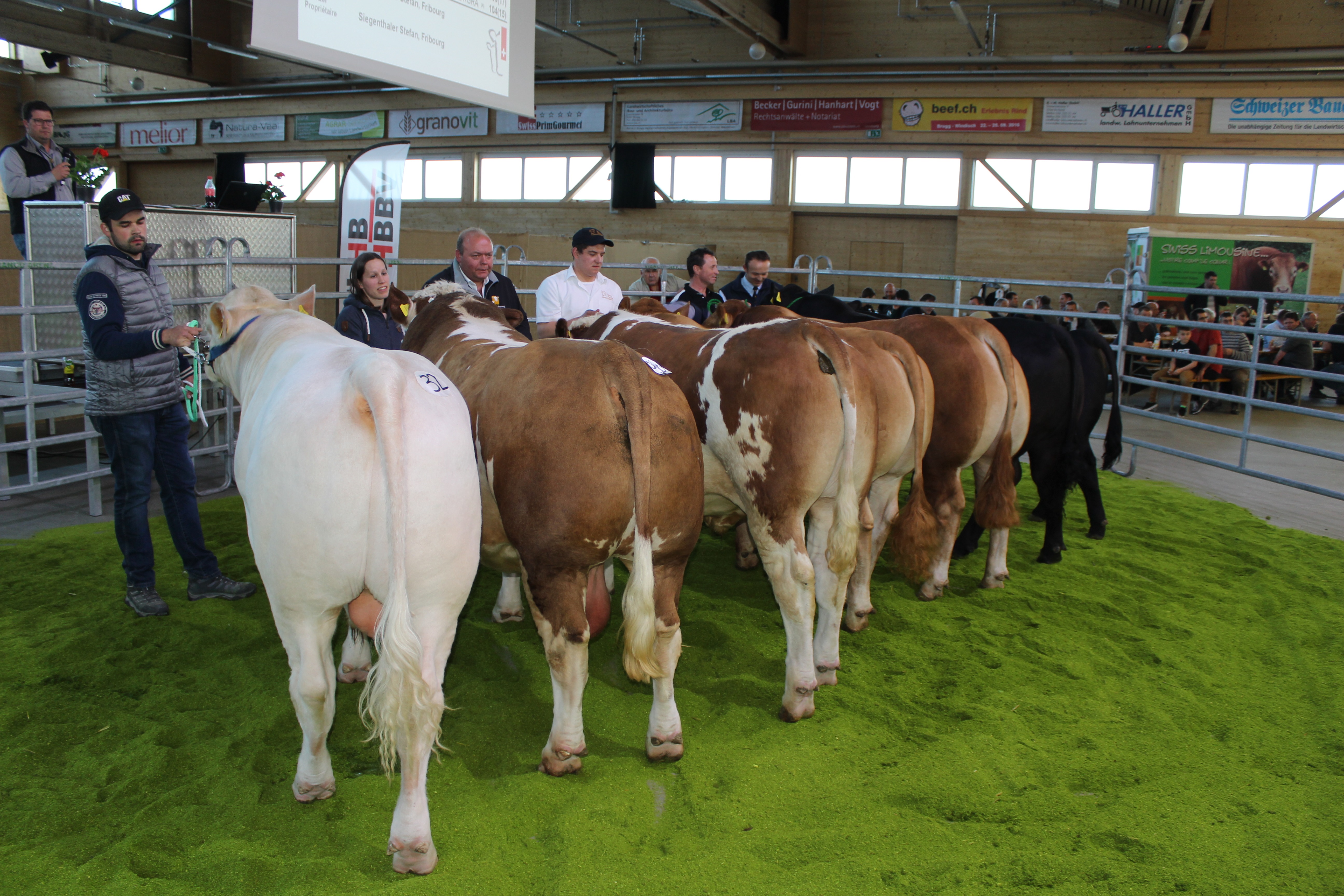 © Vache mère Suisse