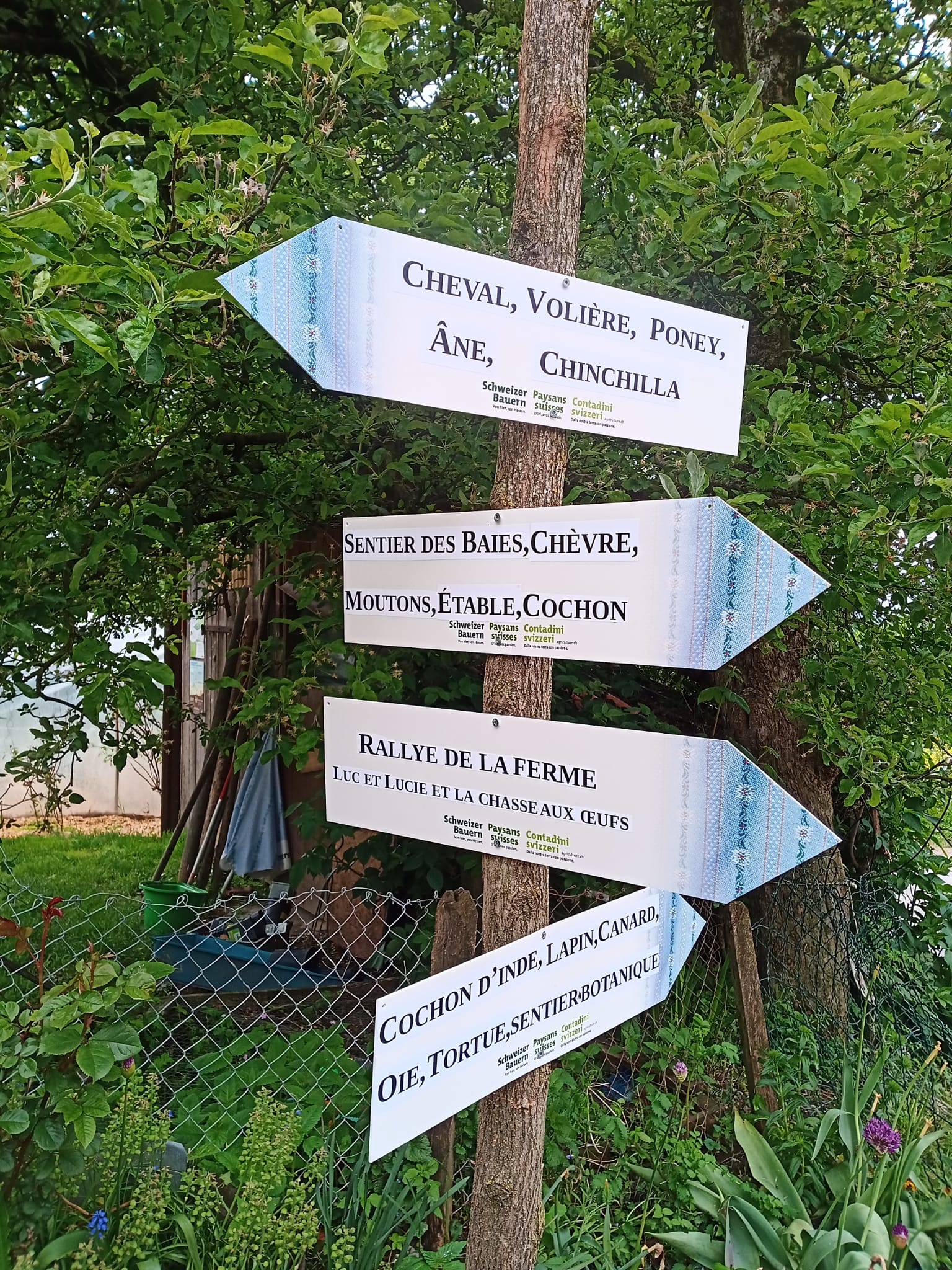 Photo ©Ferme des Biolles_2021