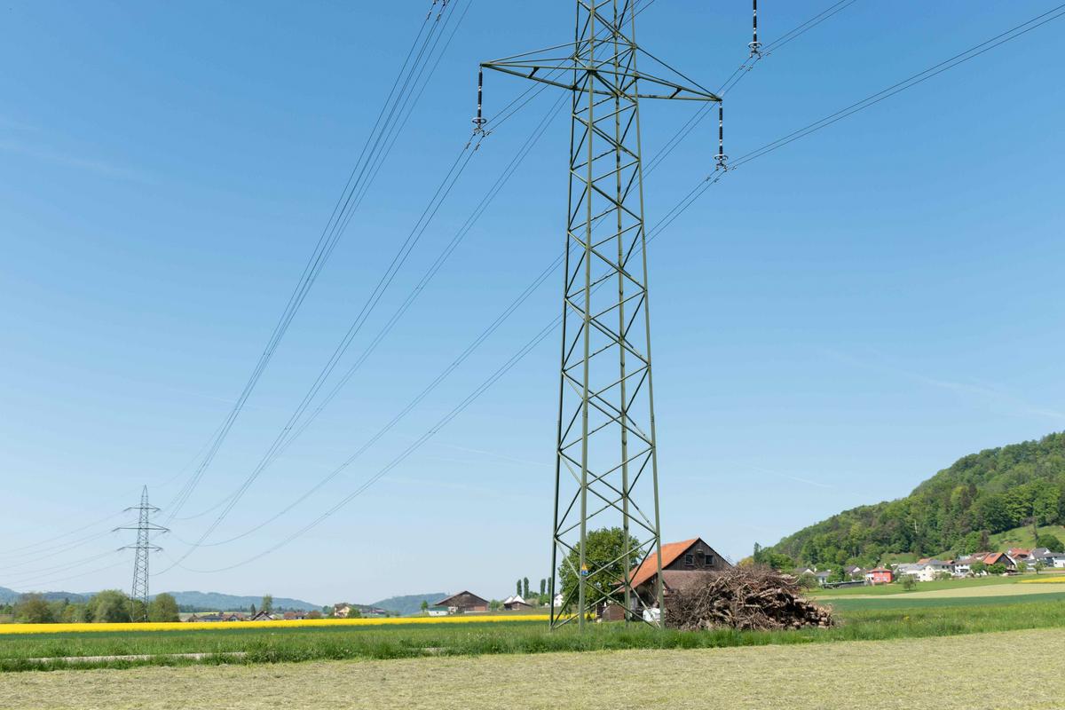 USP - Pénurie d'électricité : agriculture