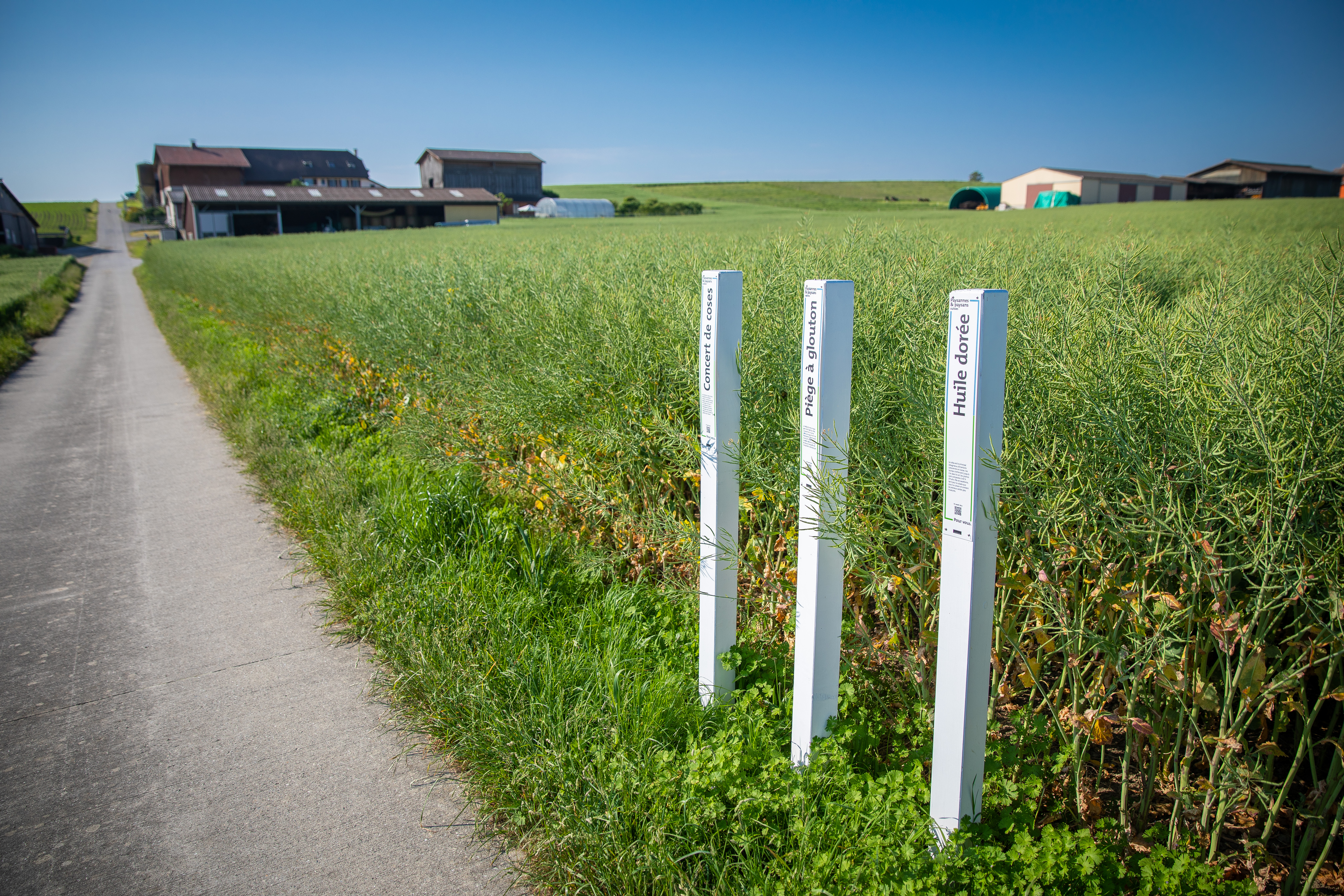 Photo : Atelier Picsel