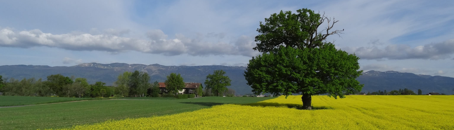 Commission des Jeunes Agriculteurs Romands