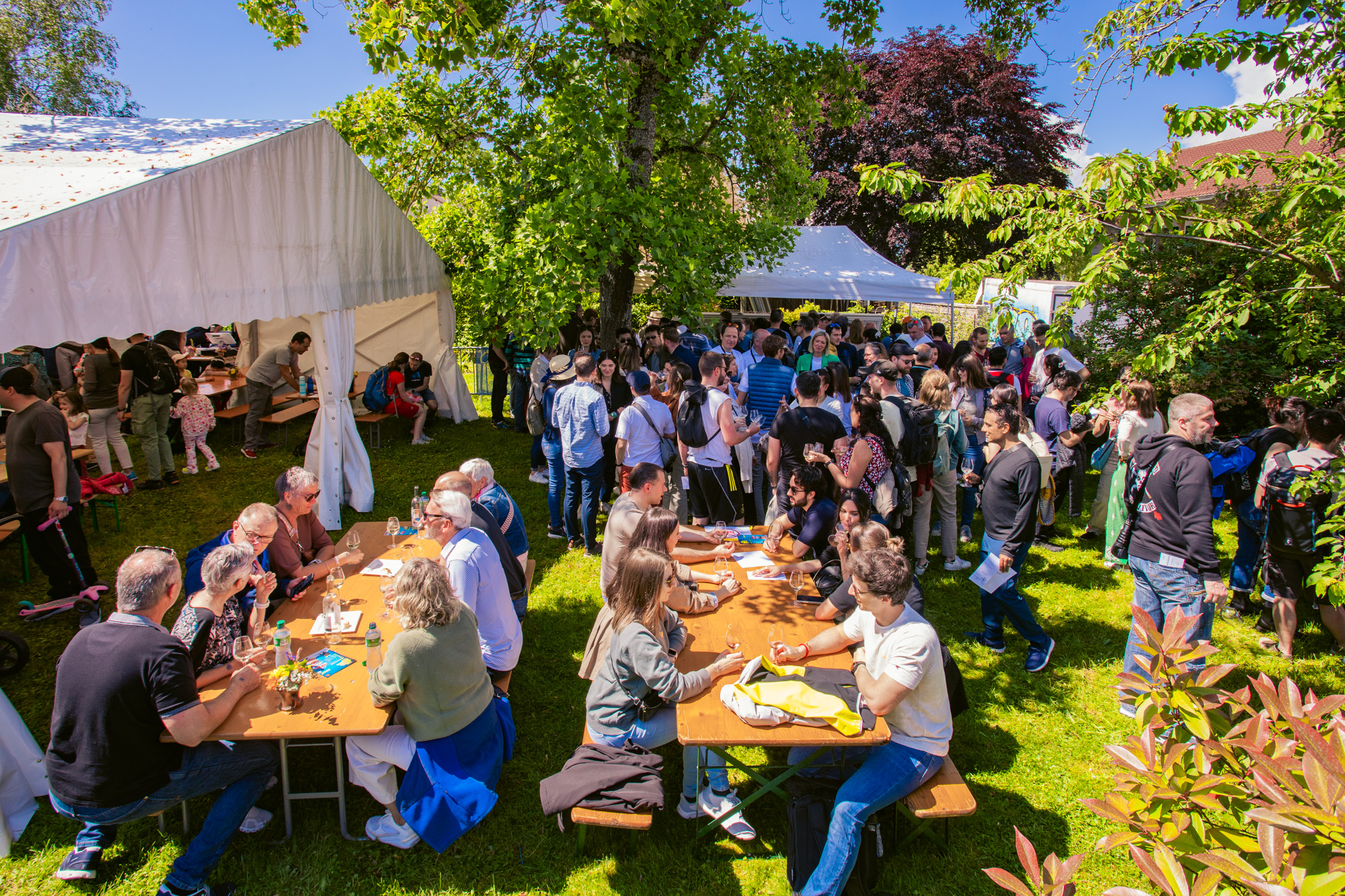 Photo Régis Colombo Genève Terroir