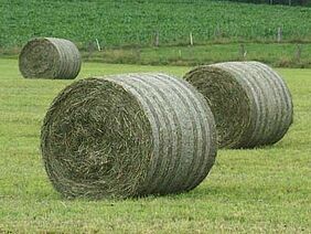 Copyright bioactualite.ch