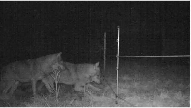 Copyright Prométerre