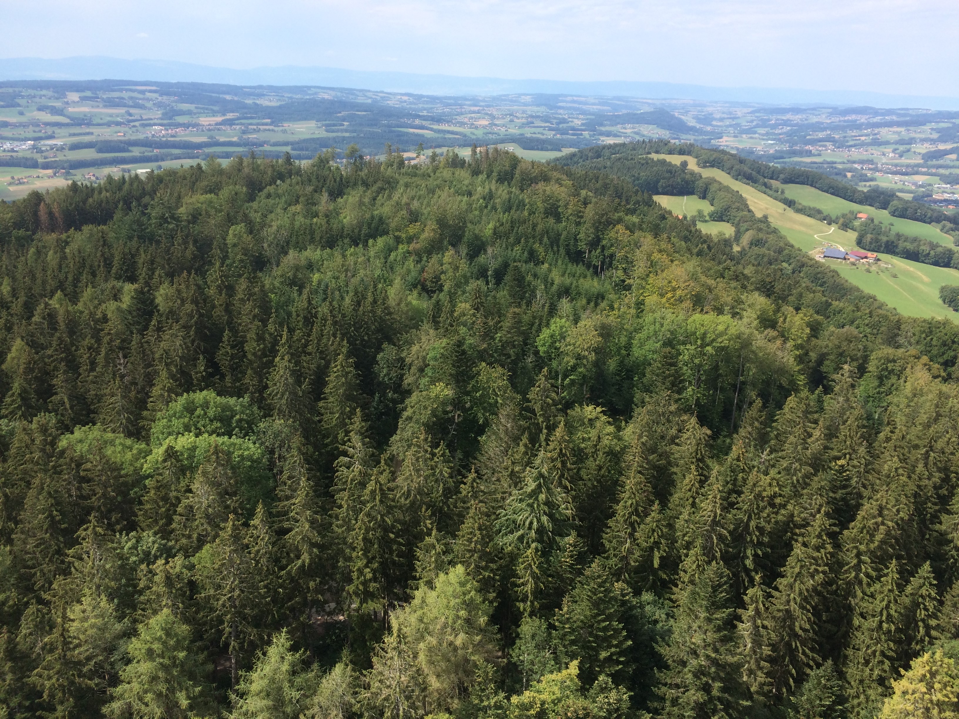 Vue depuis le Mont-Pélerin copyright AGIR 