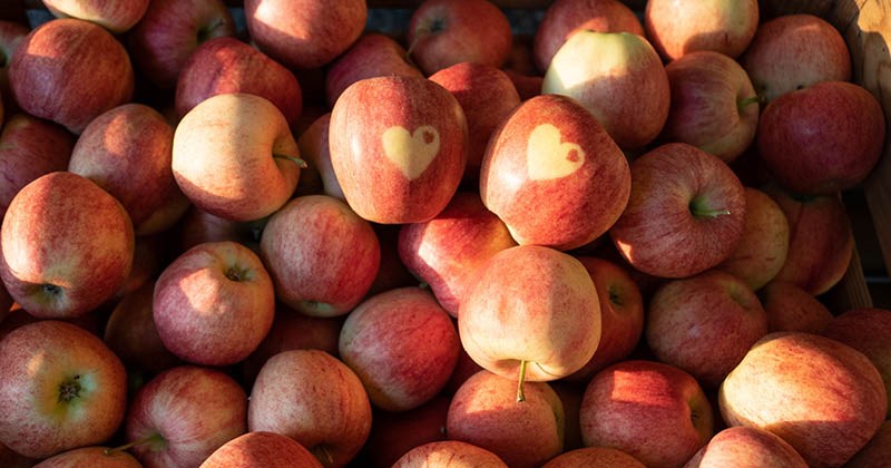 Copyright swisscofel.ch