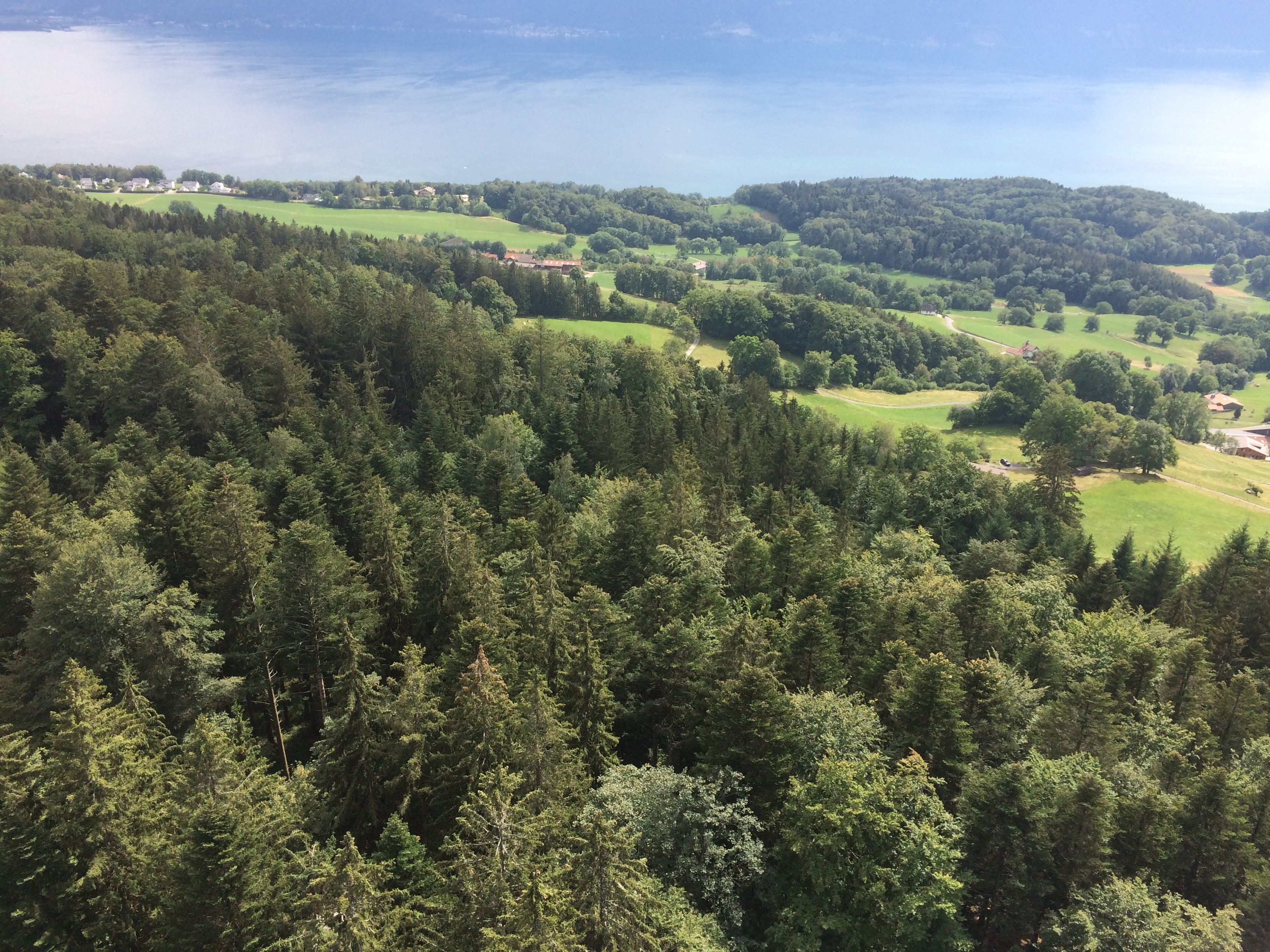 Vue depuis le Mont-Pélerin copyright AGIR 