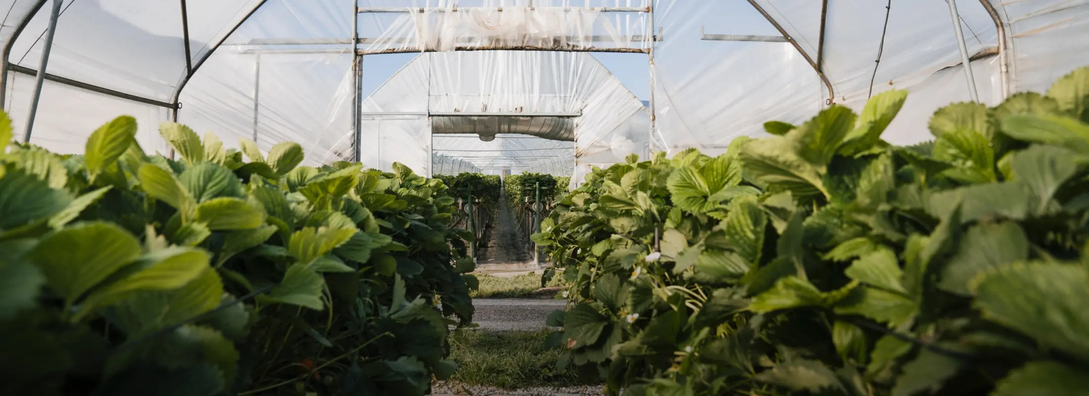 Copyright indicateurs-communs.ch