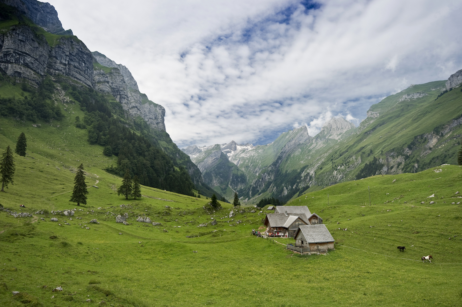 Chalets d'alpage dans les Préalpes fribourgeoises (DR)