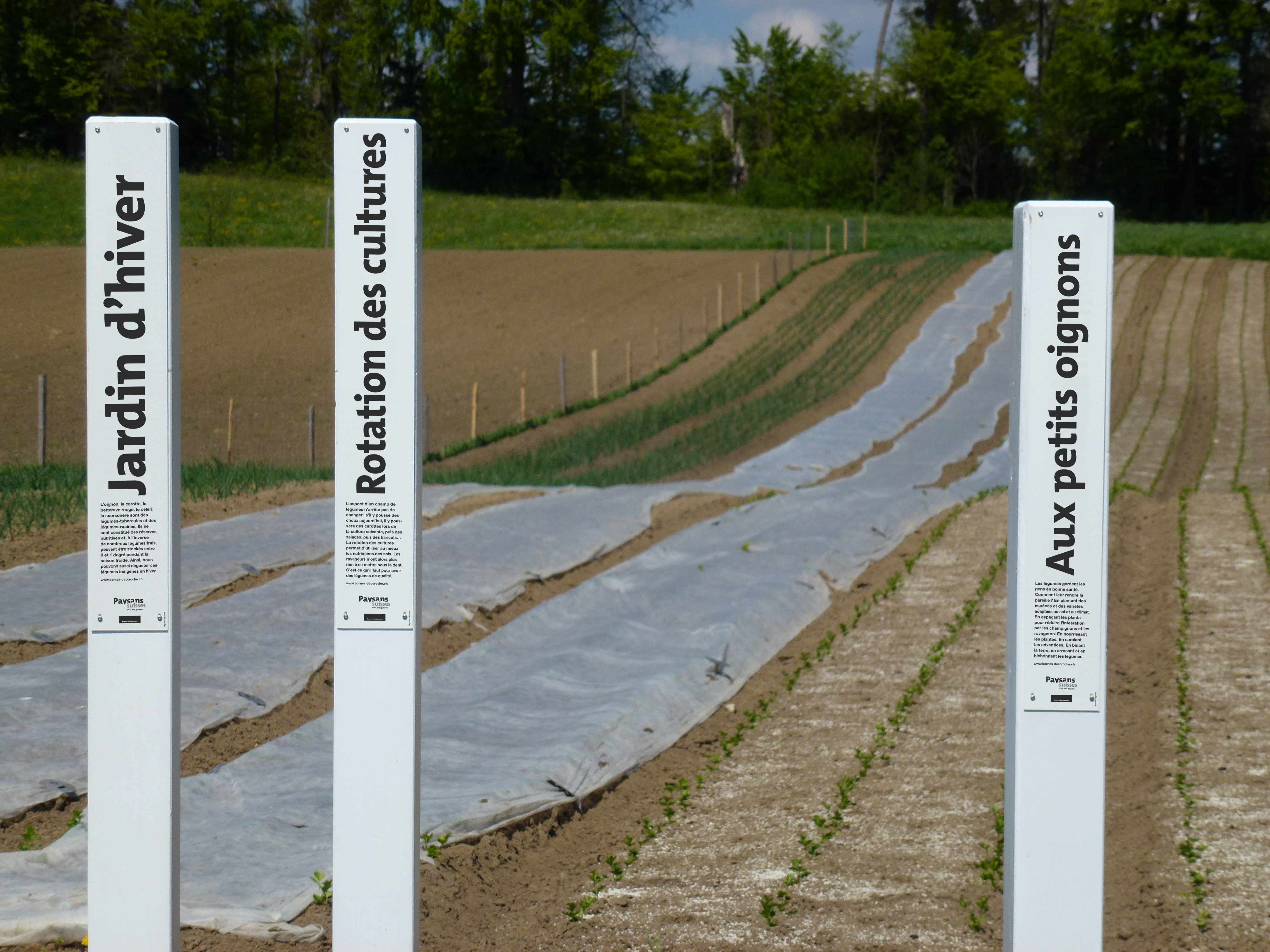 Photo: agriculture.ch 