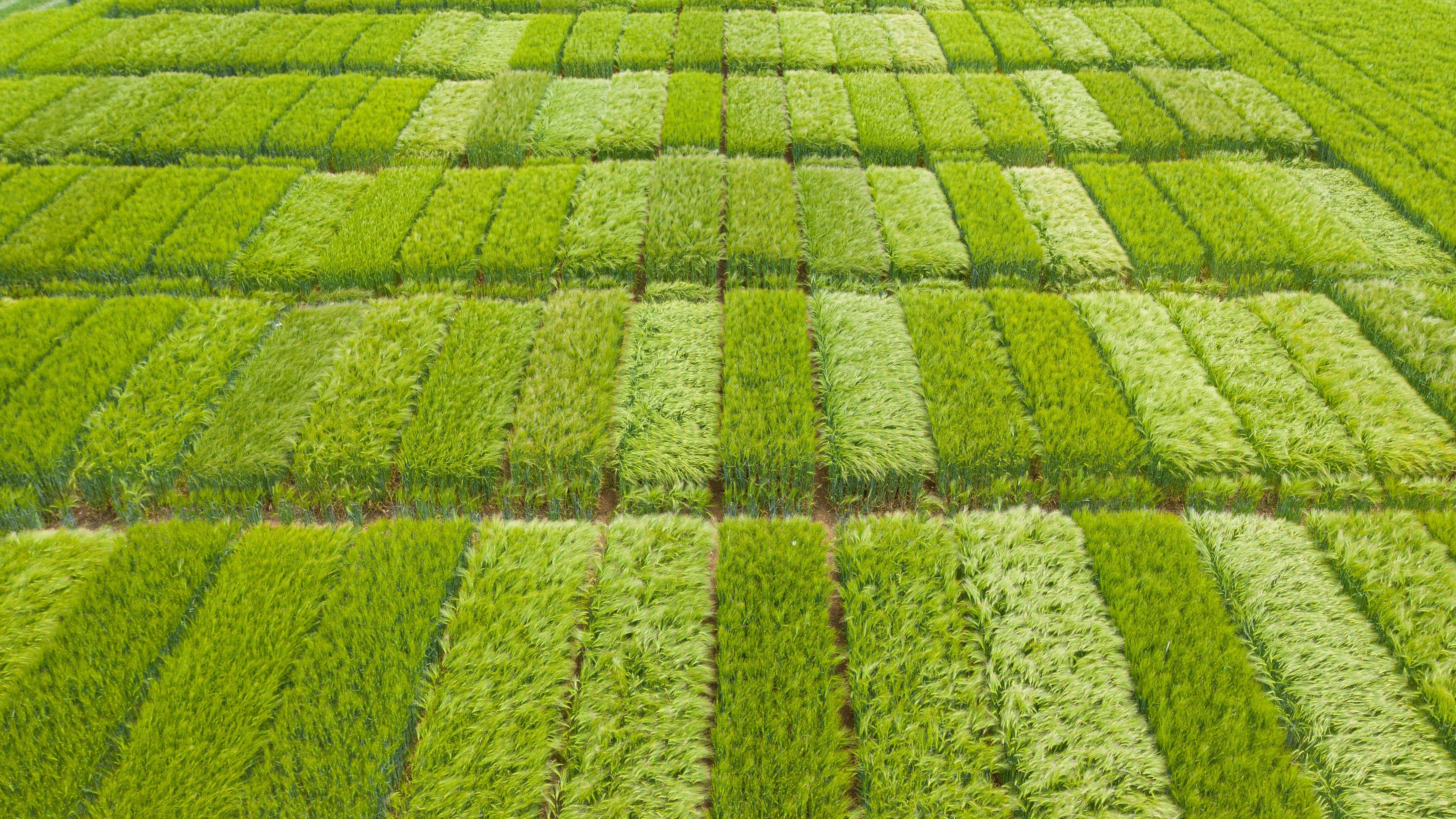 Copyright: Agroscope, Carole Parodi