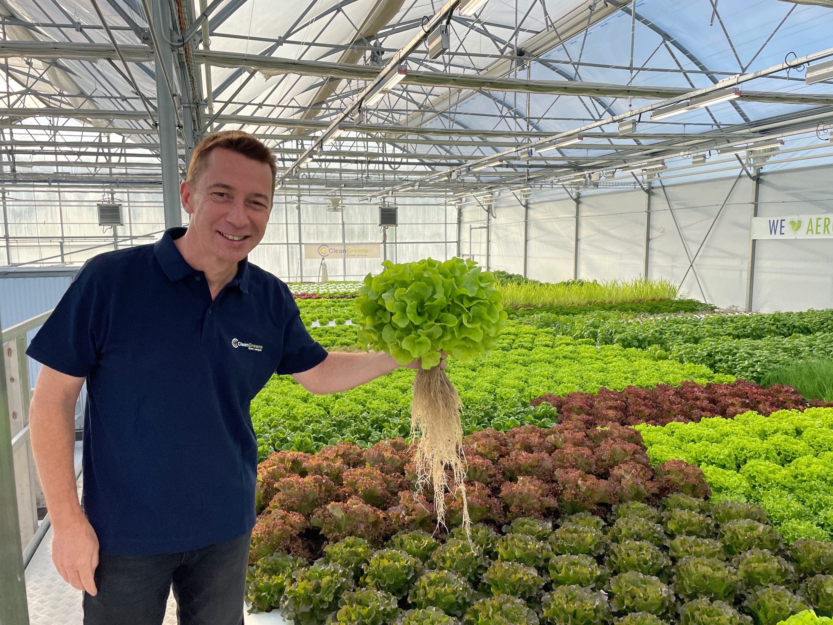Bruno Cheval, CEO de CleanGreens Solutions, dans une serre où les salades poussent avec les racines à l'air libre - DR