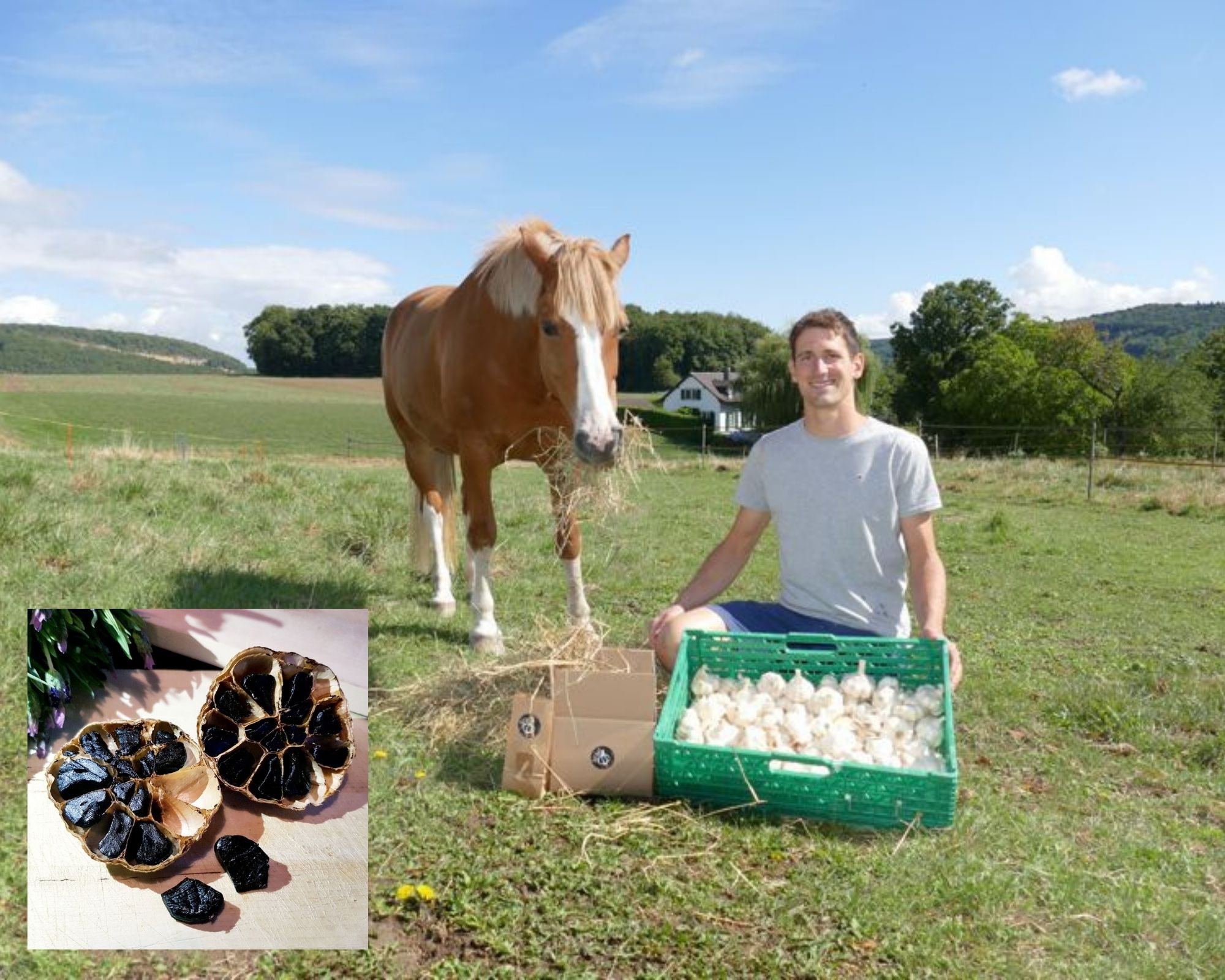 Christophe Gatabin, avec une partie de sa récolte d'ail. Avant et après transformation en ail noir. (Photo Blaise Guignard)