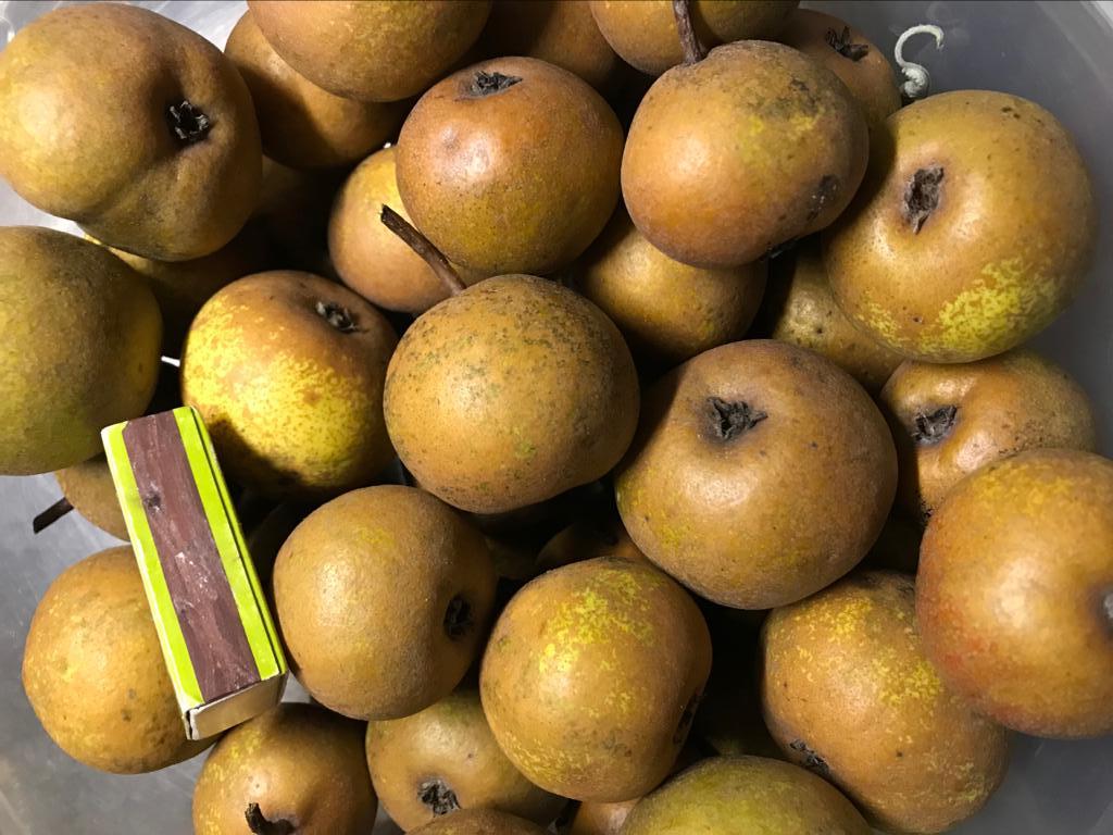 © Peter Enz / FRUCTUS