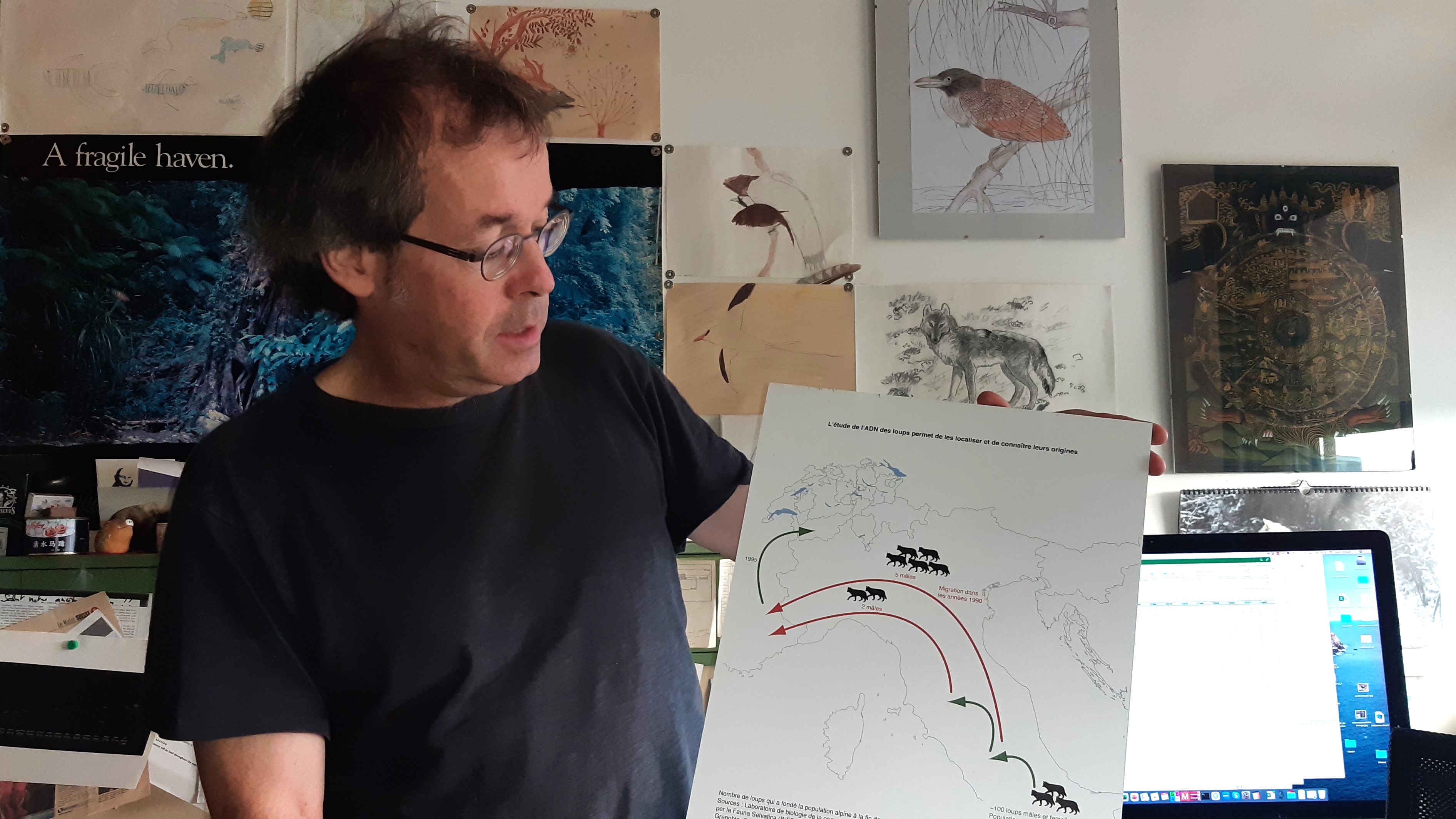 Luca Fumagalli et la migration des loups italiens, dans son bureau à l'Université de Lausanne - photo EA