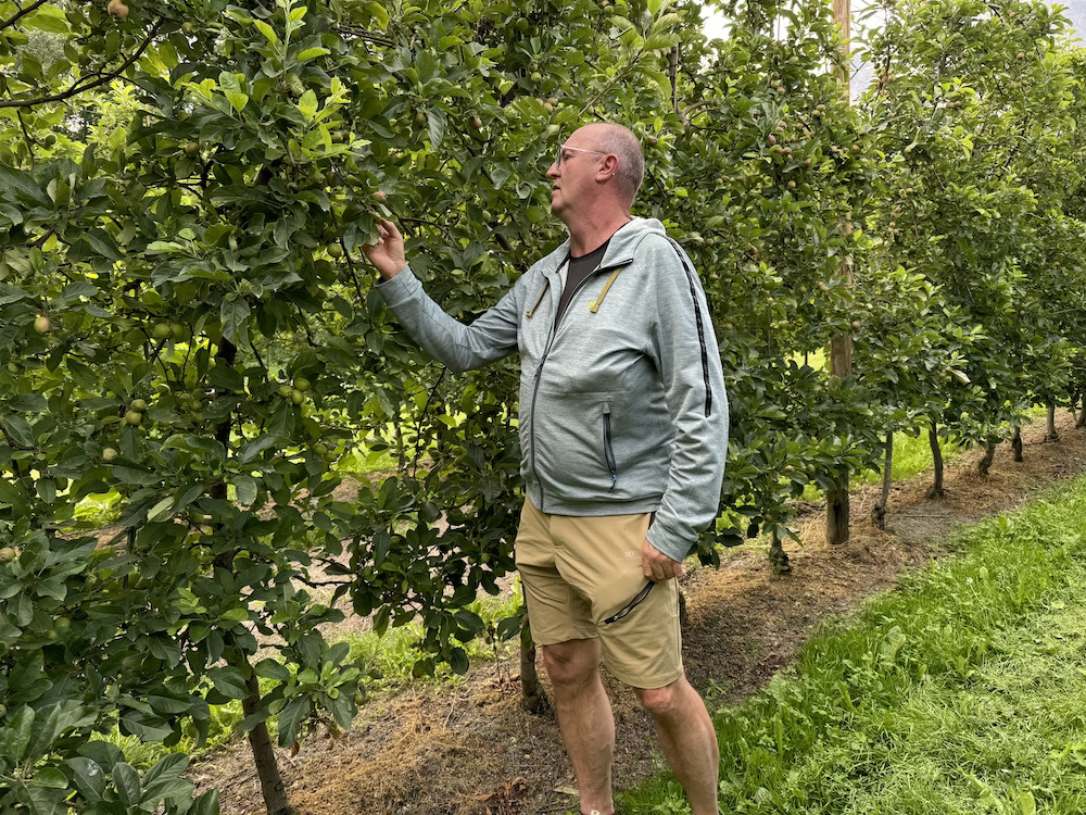 Pierre Dorsaz en train d'inspecter ses vergers (photo: PB)