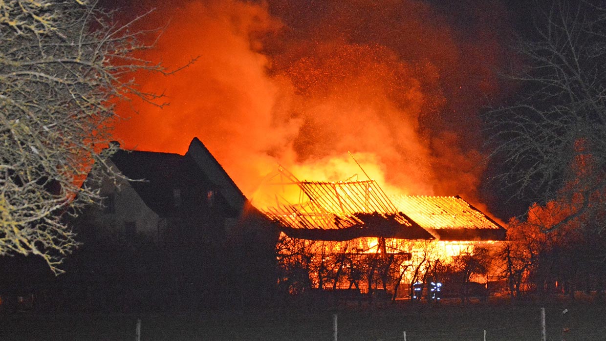 "Quand les chevaux sont stressés, ils cherchent à rester là où ils étaient en sécurité, quitte à vouloir retourner dans un bâtiment en flammes." – photo SPAA