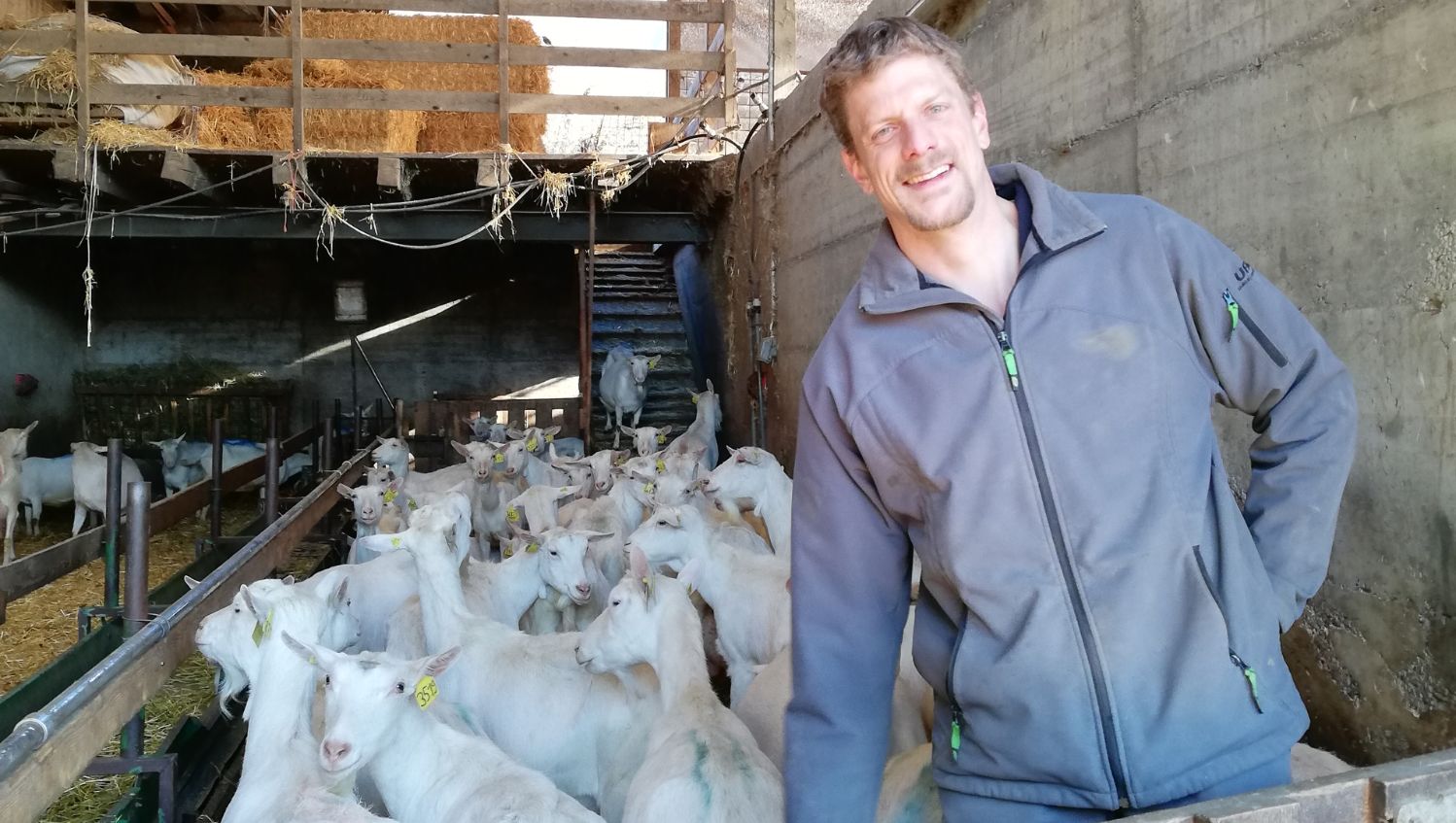 Copyright: Le petit chevrier