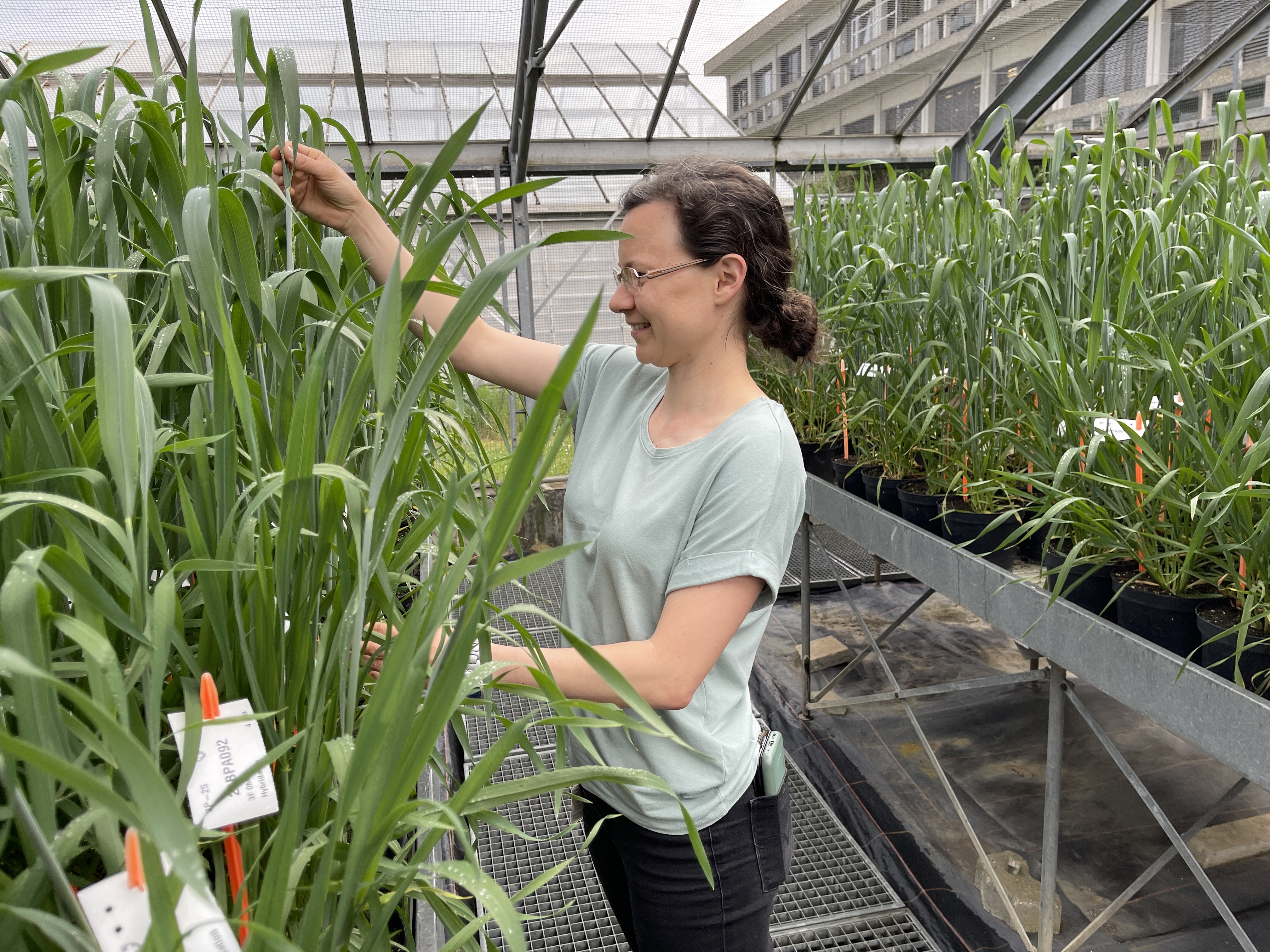 Stephanie Bräunlich, sélectionneuse chez Agroscope - photo PB