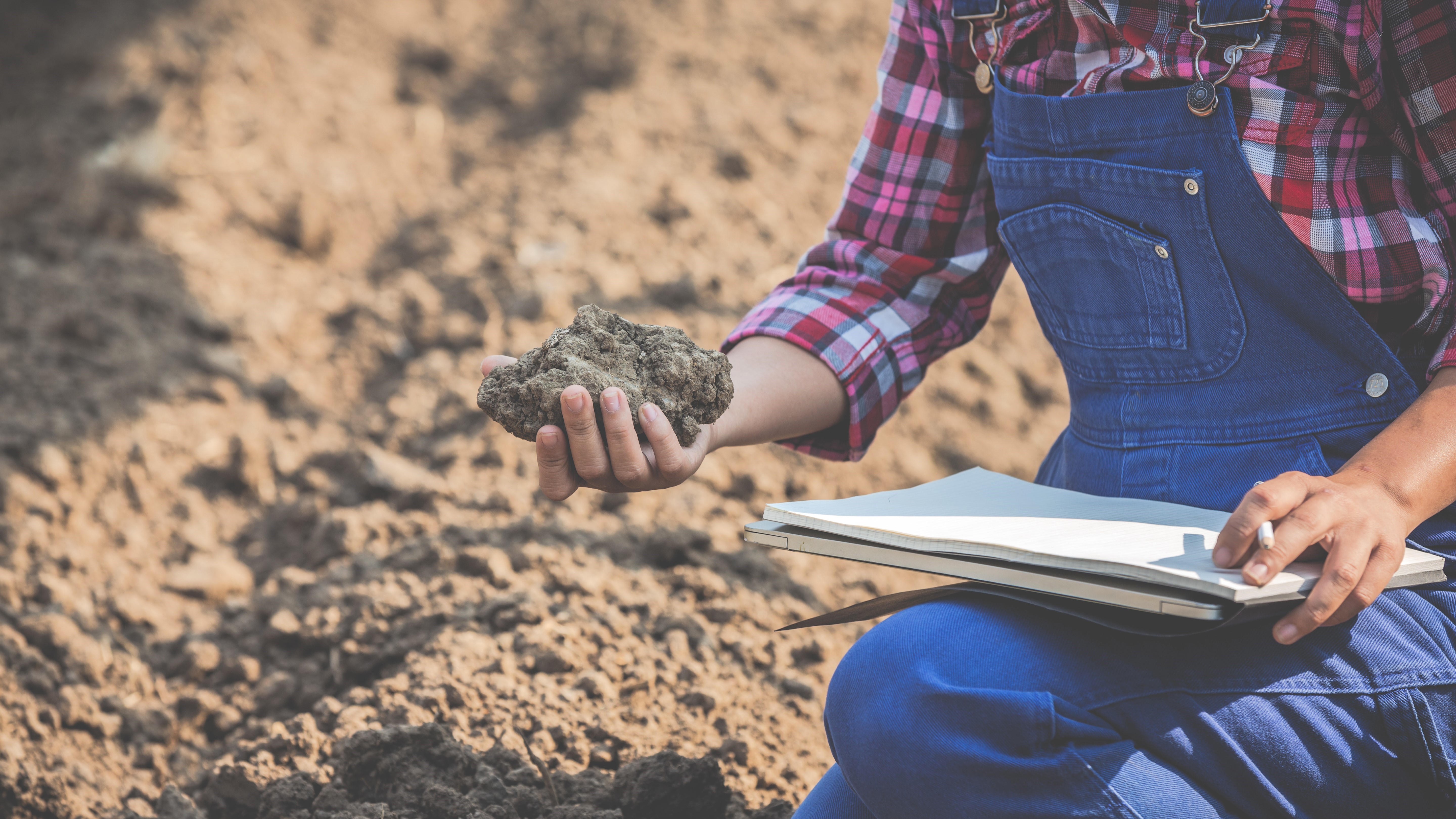 Vouloir augmenter le ratio en matière organique d'un sol est une chose, mais savoir précisément comment y parvenir reste une science en mouvement - photo DR