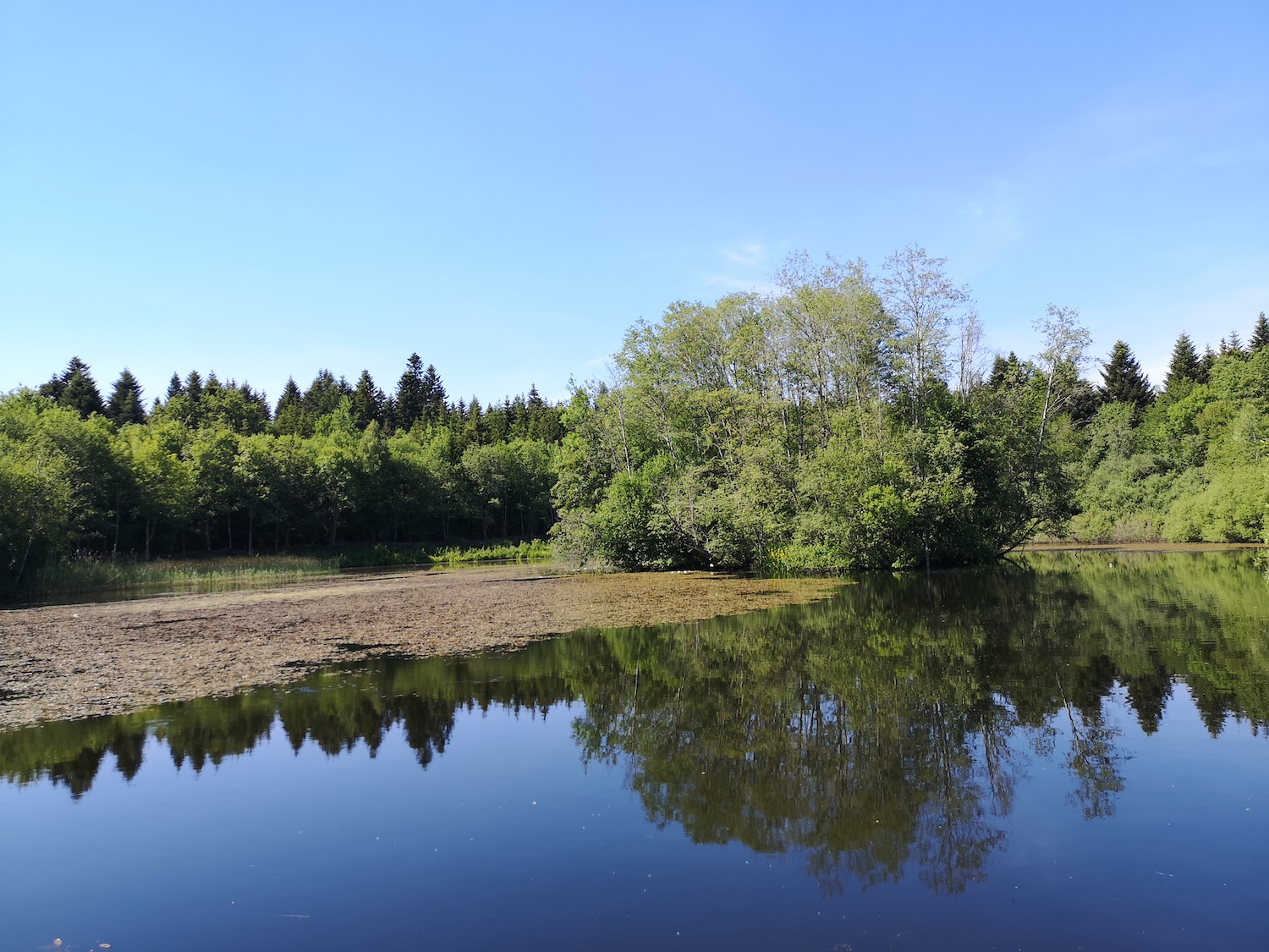 Le Parc naturel du Jorat (DR)