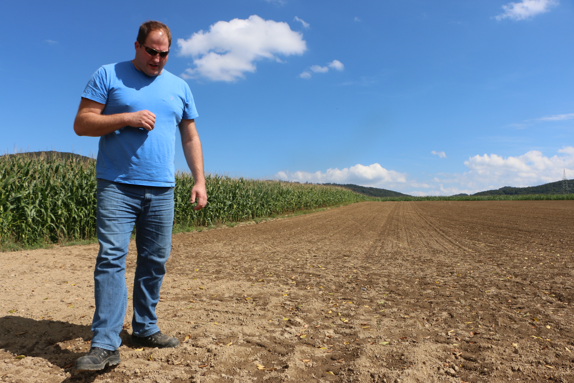 Fabrice Nagel dans l'un des champs de colza qu'il vient de semer (DR)