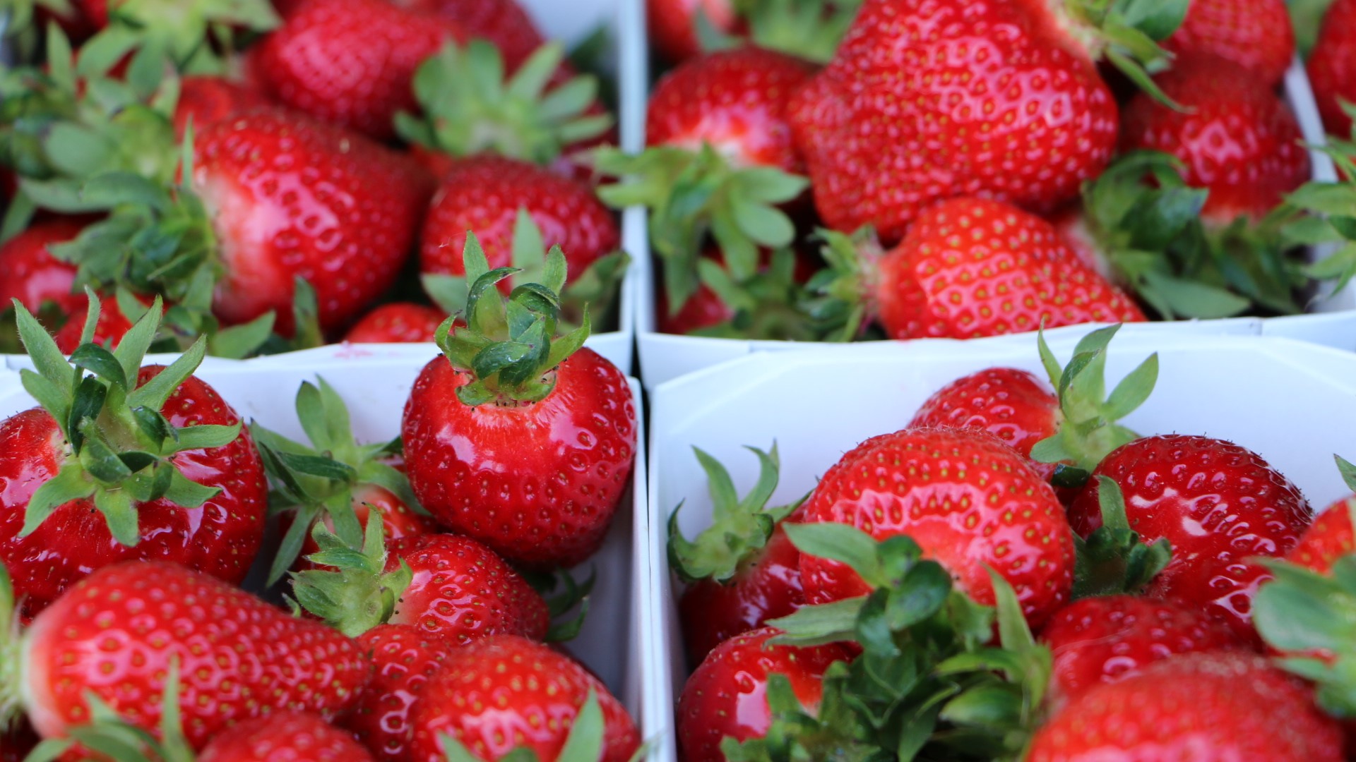 Le succès de l'auto-cueillette a fortement augmenté en 2020 (AGIR)