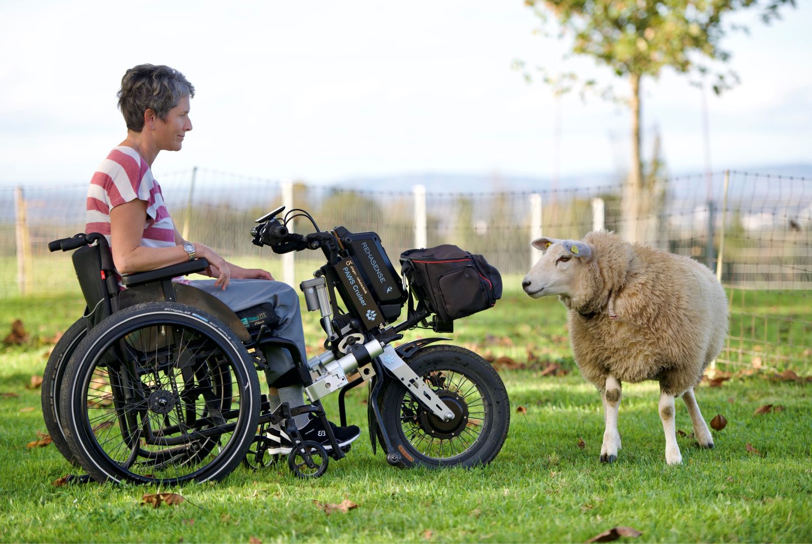 De plus en plus d'exploitations agricoles sont faciles d'accès aux personnes en situation de handicap. (DR)