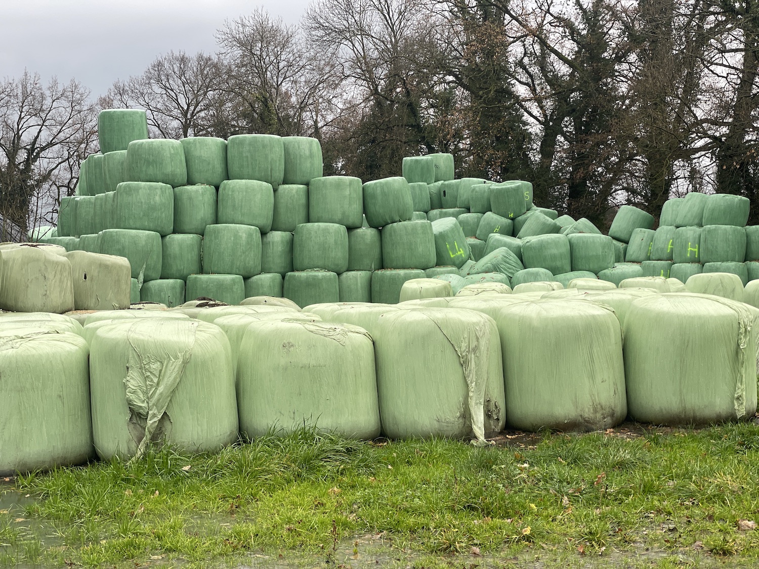 Aujourd'hui, 30% des plastiques agricoles sont recyclés (photo Pascale Bieri/AGIR)