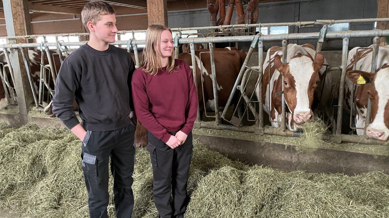 Rémy et sa soeur Adeline avec leurs vaches laitières, des Red Holstein. (photo: PB/AGIR)
