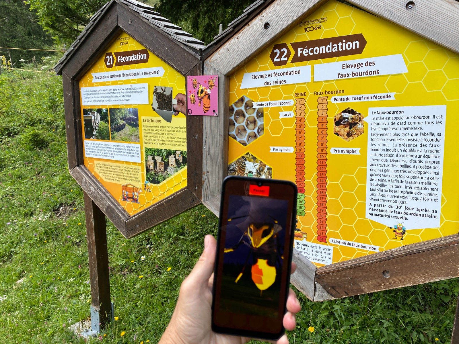 Sur l’écran, Mordax incarne le frelon asiatique, ennemi redouté des abeilles et fil rouge du jeu en réalité augmentée. (photo:MDM)