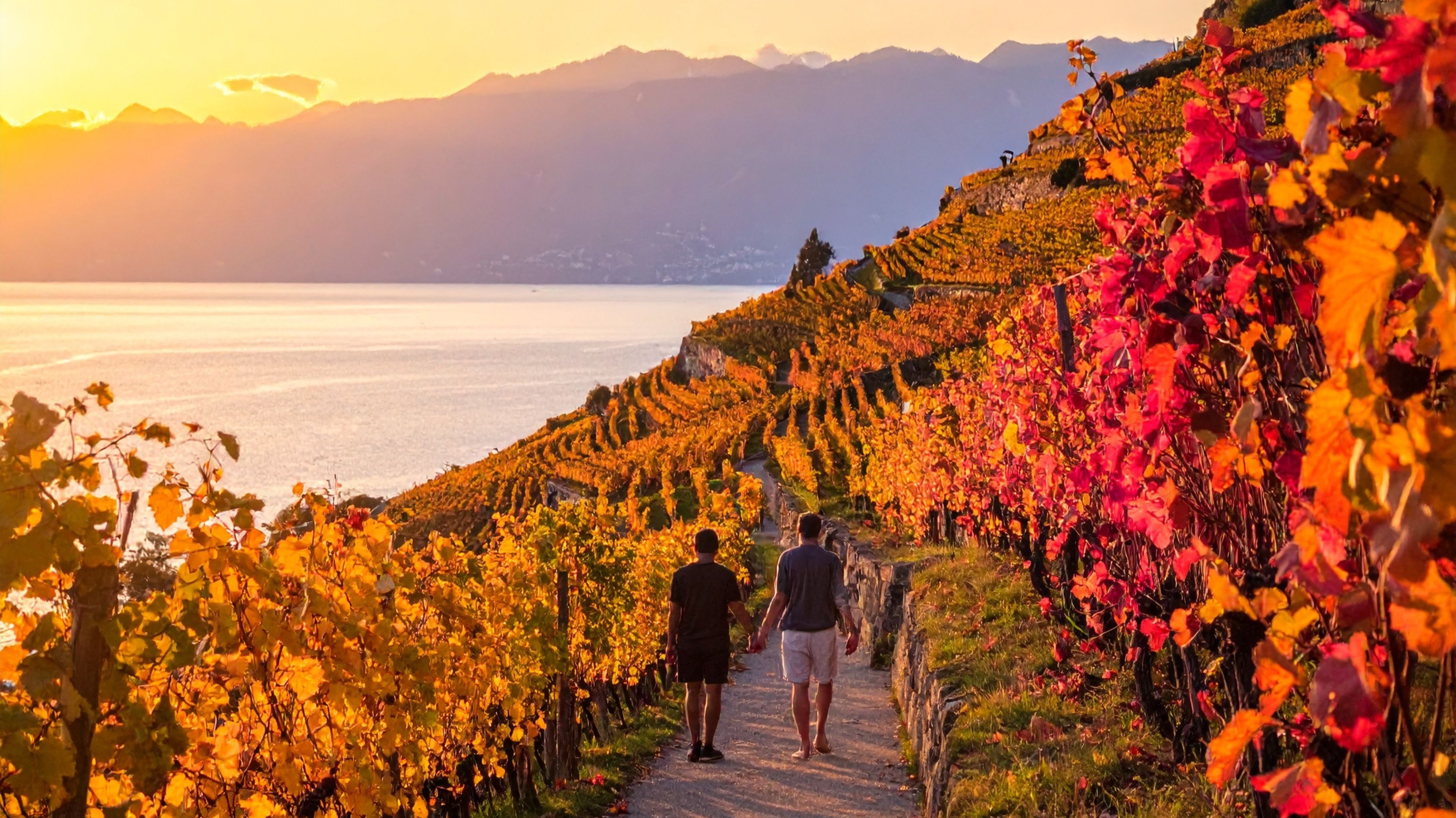 Comme ici en Lavaux, c’est le patient travail de la vigne qui permet aux promeneurs du XXIe siècle ces échappées zen sur des pentes à plus de 30% – photo DR